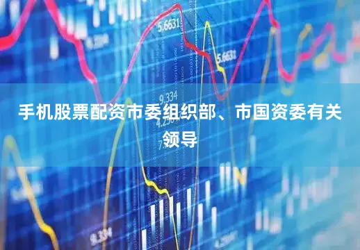 手机股票配资市委组织部、市国资委有关领导