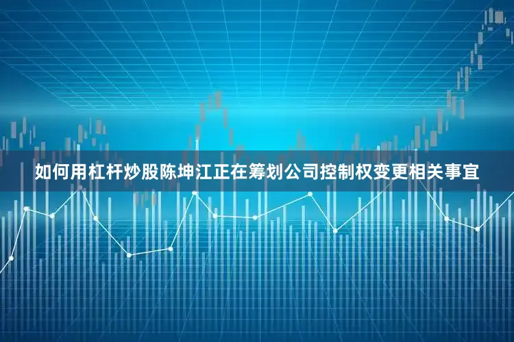 如何用杠杆炒股陈坤江正在筹划公司控制权变更相关事宜